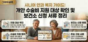 노인-실명예방-안질환-정부지원