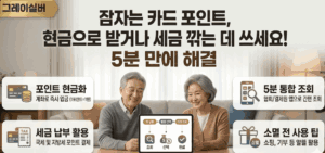 카드포인트-현금-절세