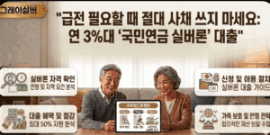 국민연금-실버론