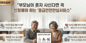 응급안전안심서비스